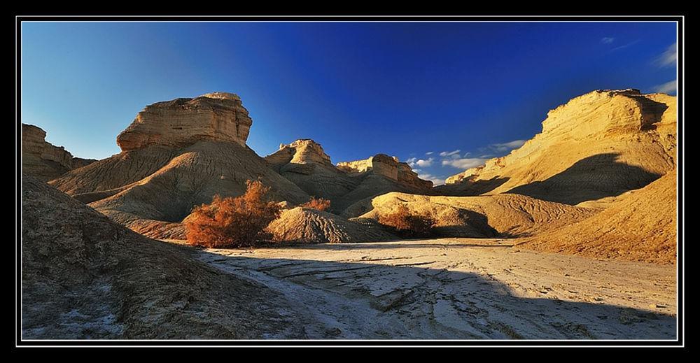 Desert View アラド エクステリア 写真